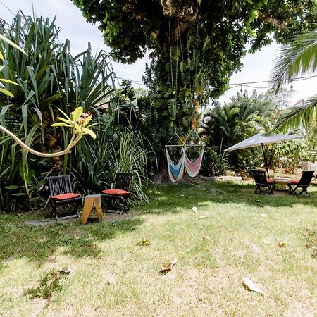 Bajo El Arbol B&B Playa Santa Teresa  Exterior photo