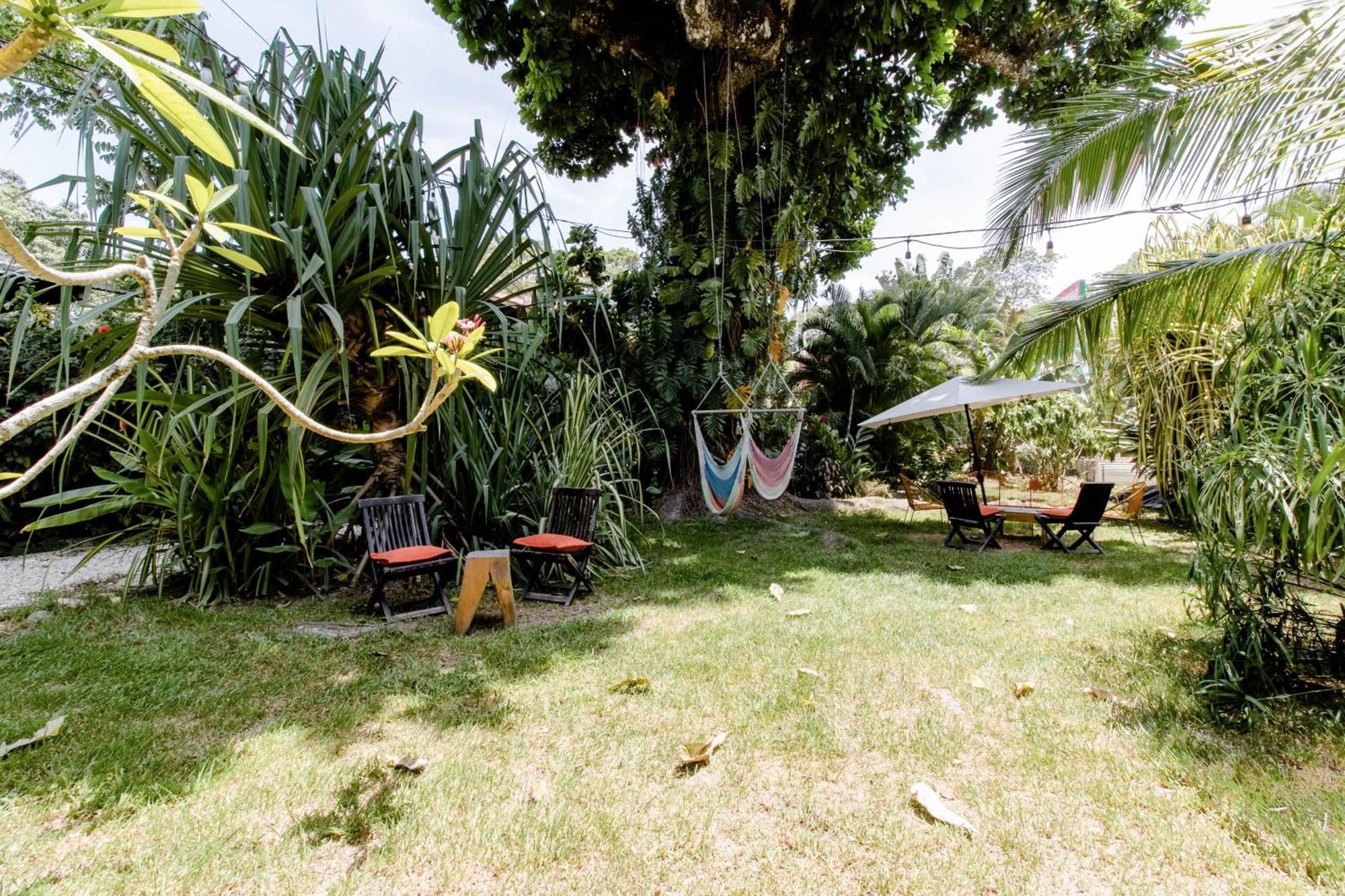 Bajo El Arbol B&B Playa Santa Teresa  Exterior photo