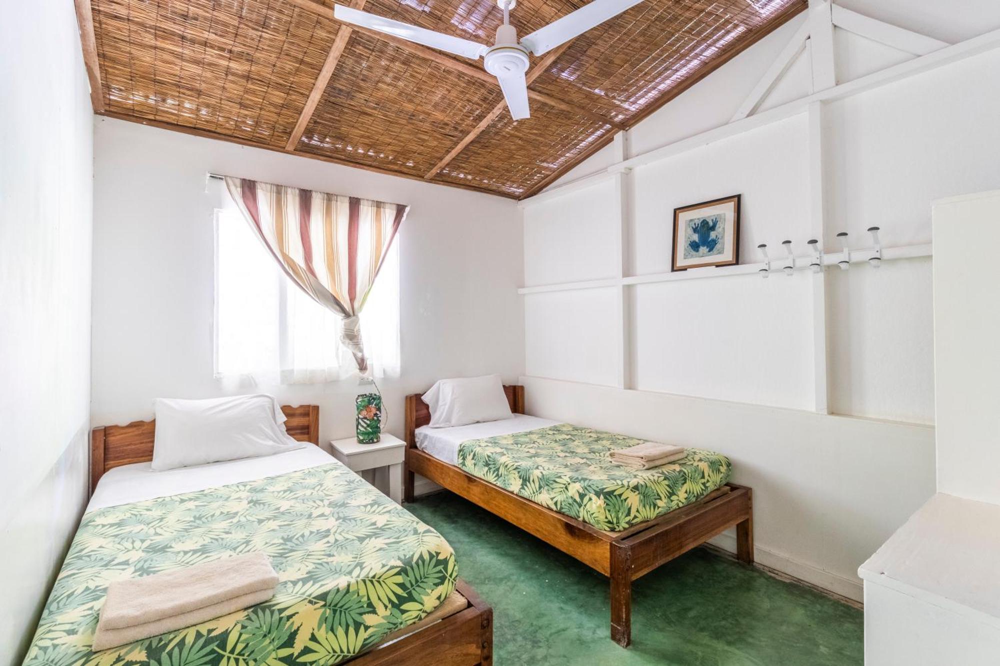 Bajo El Arbol B&B Playa Santa Teresa  Exterior photo